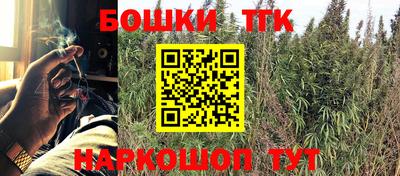 PSILOCYBIN Северобайкальск