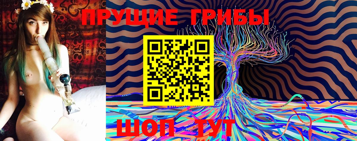 Галлюциногенные грибы Psilocybe  Вход с VPN  Галлюциногенные грибы прущие грибы  Феодосия 