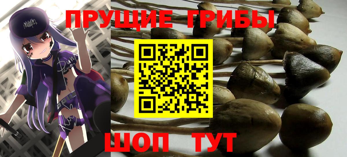 Псилоцибиновые грибы мицелий Феодосия