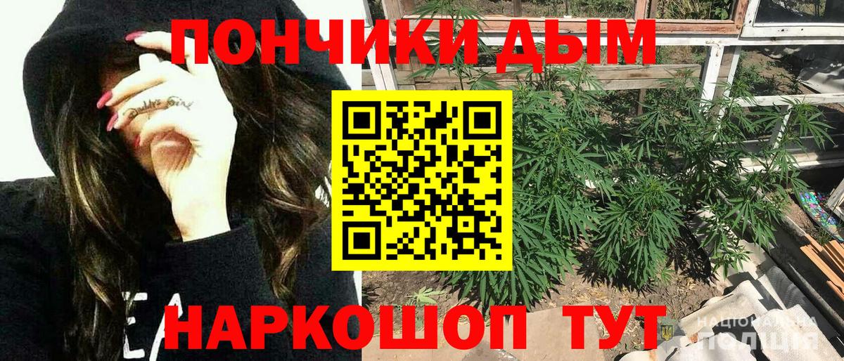 Бошки Шишки Bruce Banner  Шишки марихуана планчик  Феодосия  Вход с VPN  Бошки Шишки сатива 